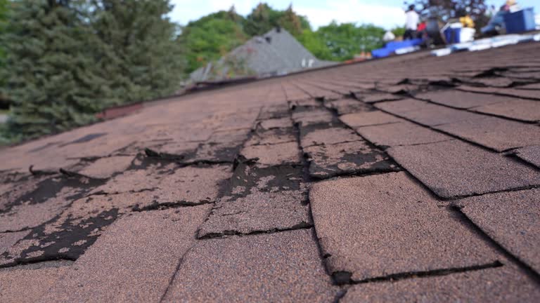 Best Roof Coating and Sealing  in Cle Elum, WA